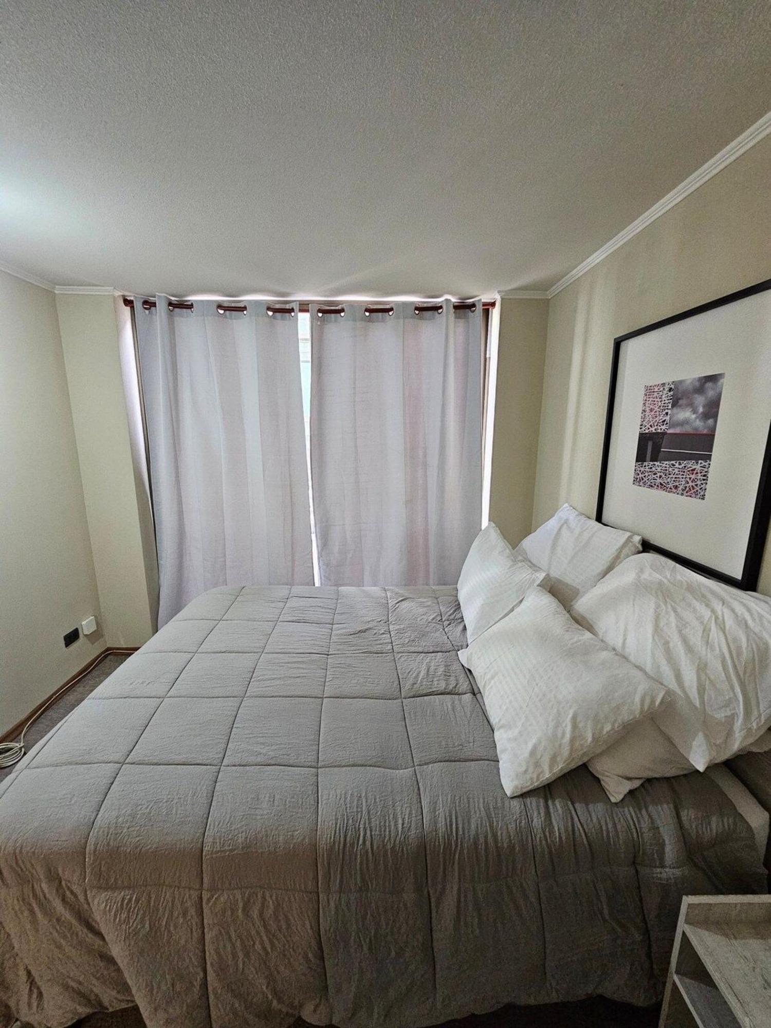Bellavista Apartrent Santiago del Cile Esterno foto