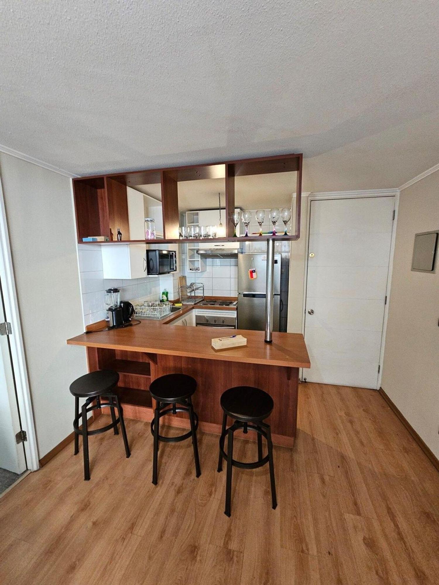 Bellavista Apartrent Santiago del Cile Esterno foto